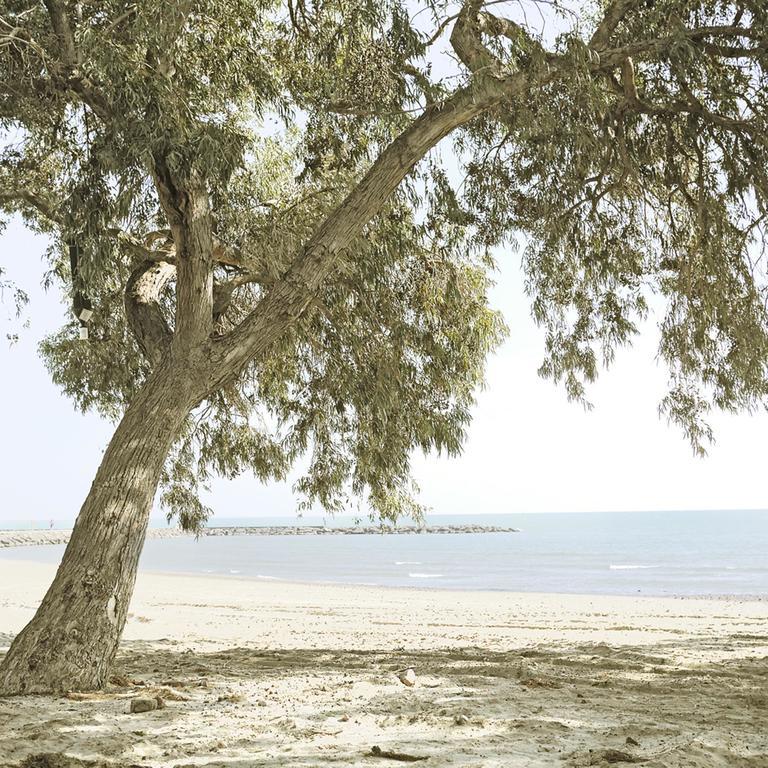 Azahar Kemping Benicàssim